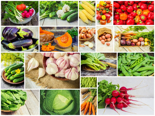 Коллаж из разных овощей. Вегетарианская еда
.