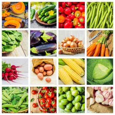 Farklı sebze kolaj. Vejetaryen yiyecekler.