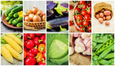 Farklı sebze kolaj. Vejetaryen yiyecekler.