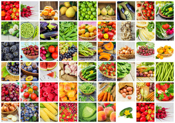 collage of fruits and vegetables in one photo.