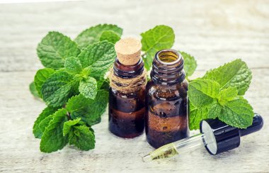 Nane özü. Şifalı bitkiler. Seçici odak. 