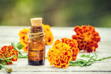 kadife çiçeği özü. Şifalı bitkiler. 