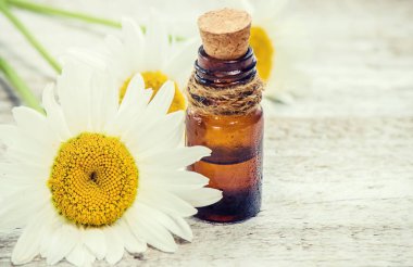 Papatya özü. Şifalı bitkiler.