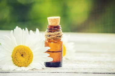 Papatya özü. Şifalı bitkiler.