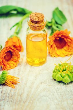 Calendula özü. Şifalı bitkiler. Seçici odak. 