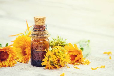 Calendula özü. Şifalı bitkiler. Seçici odak. 