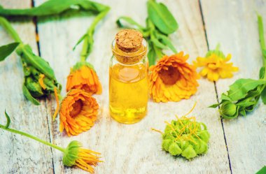 Calendula özü. Şifalı bitkiler. Seçici odak. 