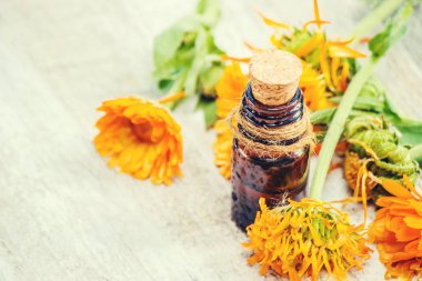 Calendula özü. Şifalı bitkiler. Seçici odak. 