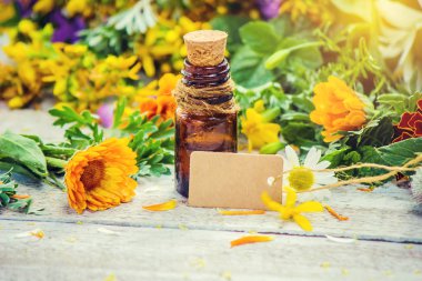 Küçük bir şişe içinde otlar ayıklayın. Şifalı bitkiler. Seçici odak.