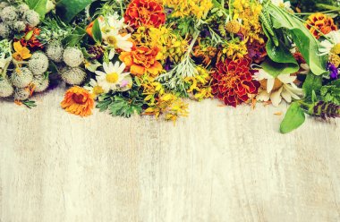 Otlar. Şifalı bitkiler. Seçici odak. 