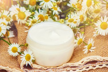 Papatya özü ile krem. Şifalı bitkiler. Seçici odak.