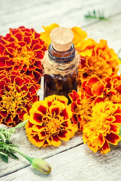 Marigold  extract. Medicinal plants. — Stock Photo, Image