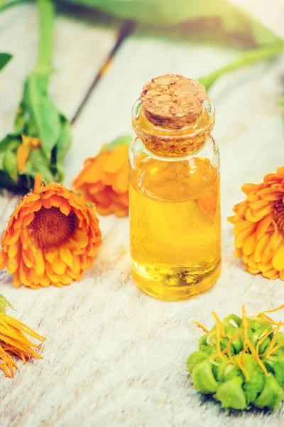 Het calendula-extract. Geneeskrachtige planten. Selectieve aandacht. — Stockfoto