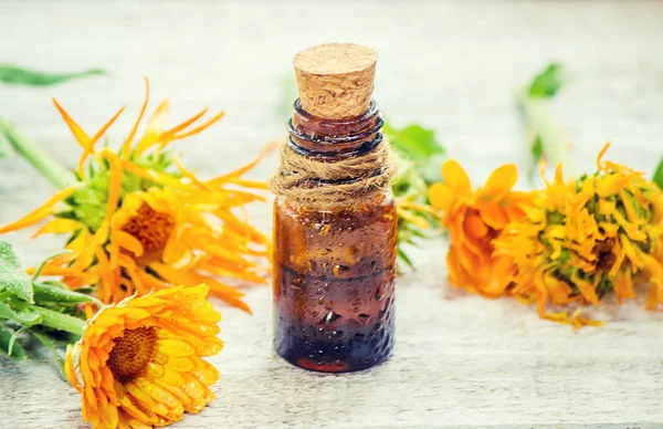 L'estratto di calendula. Piante medicinali. Focus selettivo . — Foto Stock