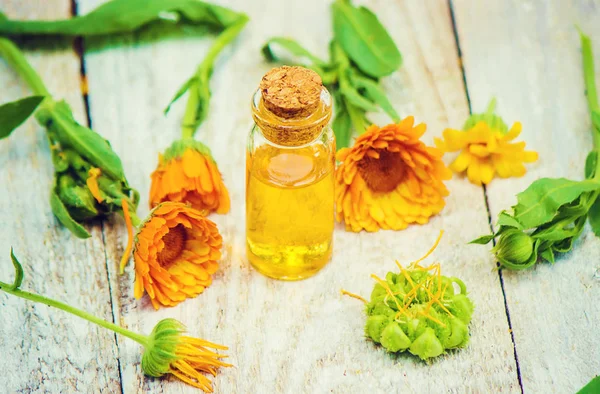 Calendula özü. Şifalı bitkiler. Seçici odak. 