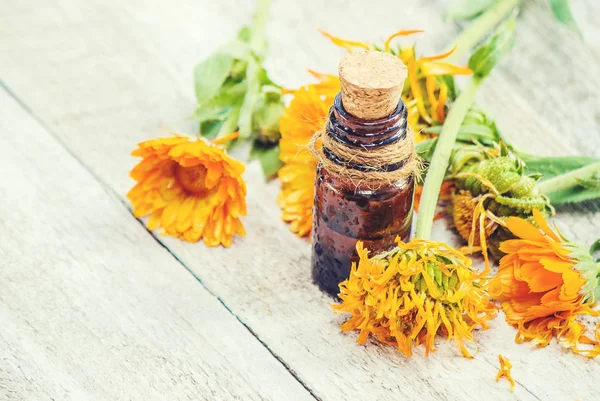 Calendula özü. Şifalı bitkiler. Seçici odak. — Stok fotoğraf