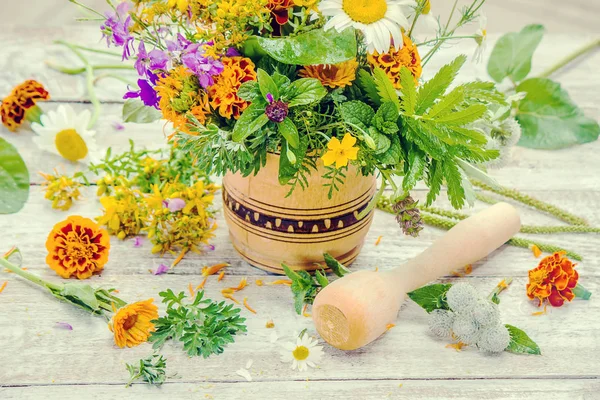 Bir harç otlar. Şifalı bitkiler. Seçici odak. 