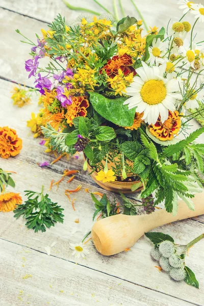 Kräuter im Mörser. Heilpflanzen. Selektiver Fokus. — Stockfoto