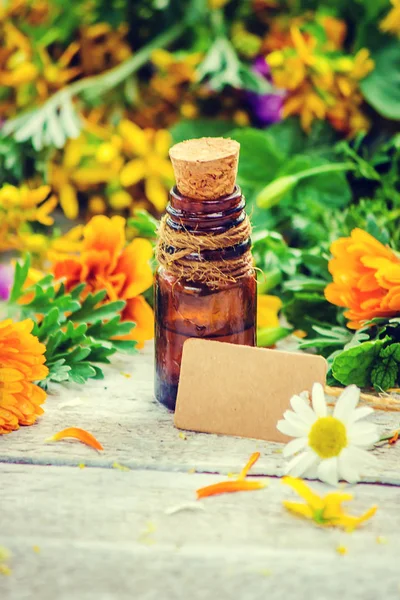 Küçük bir şişe içinde otlar ayıklayın. Şifalı bitkiler. Seçici odak.