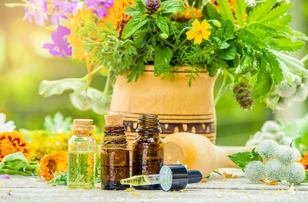 Extrait d'herbes dans une petite bouteille. Plantes médicinales. Concentration sélective . — Photo