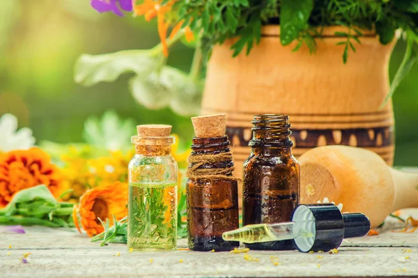 Kräuterextrakt in einem kleinen Fläschchen. Heilpflanzen. Selektiver Fokus. — Stockfoto