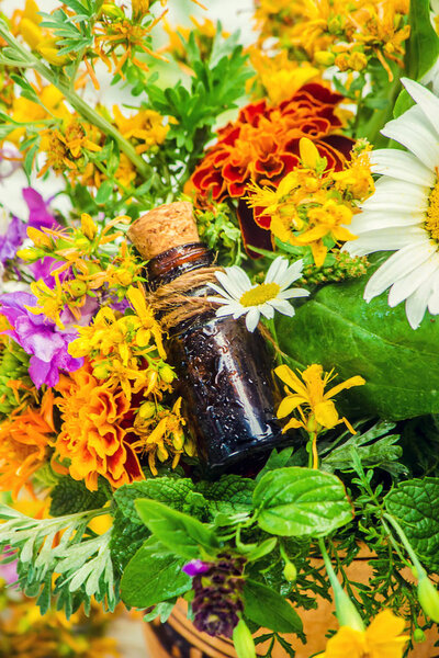 Extract of herbs in a small bottle. Medicinal plants. Selective focus.