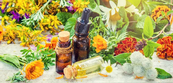 Estratto di erbe in una piccola bottiglia. Piante medicinali. Focus selettivo . — Foto Stock