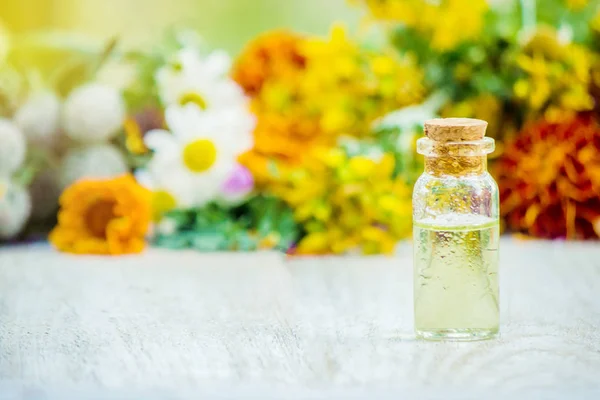 Extrato de ervas em uma pequena garrafa. Plantas medicinais. Foco seletivo . — Fotografia de Stock