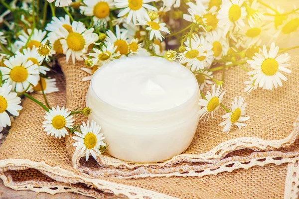 Papatya özü ile krem. Şifalı bitkiler. Seçici odak.