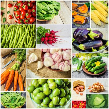 Farklı sebze kolaj. Vejetaryen yiyecekler.