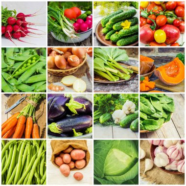 Farklı sebze kolaj. Vejetaryen yiyecekler.