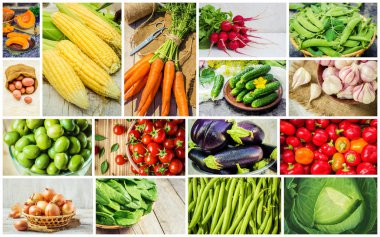 Farklı sebze kolaj. Vejetaryen yiyecekler.