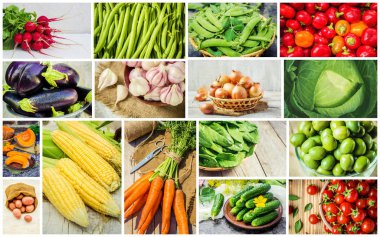 Farklı sebze kolaj. Vejetaryen yiyecekler.