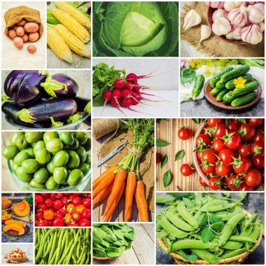 Farklı sebze kolaj. Vejetaryen yiyecekler.