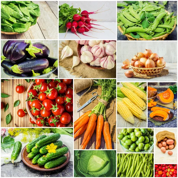 Colagem de vegetais diferentes. Comida vegetariana . — Fotografia de Stock