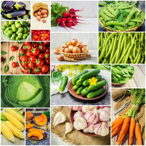 Farklı sebze kolaj. Vejetaryen yiyecekler.