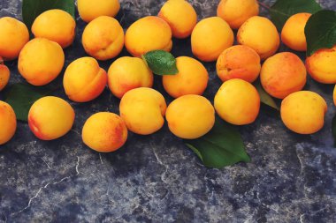 Kayısı. RIPE güzel. Seçici odak.  