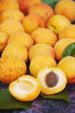 Kayısı. RIPE güzel. Seçici odak.  