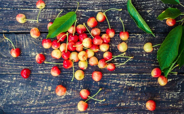 Sarı-kırmızı kiraz. Seçici odak. 