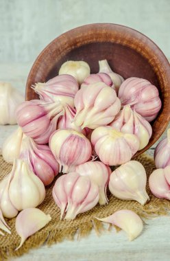 sarımsak. seçici odak.