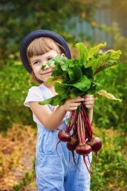 Çocuk ve pancar. Seçici odak. 
