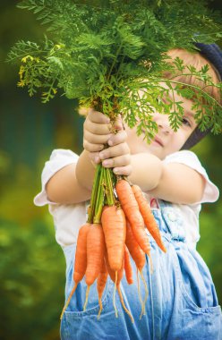 Çocuk ve havuç. Seçici odak. 