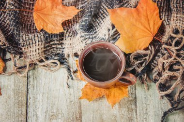 Bir fincan çay. Konfor. Seçici odak. 