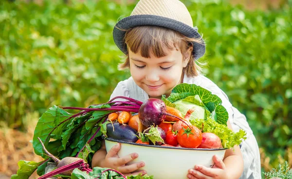 Niño y verduras. Enfoque selectivo . — Foto de Stock