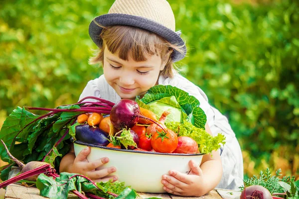 Bambino e verdure. Focus selettivo . — Foto Stock