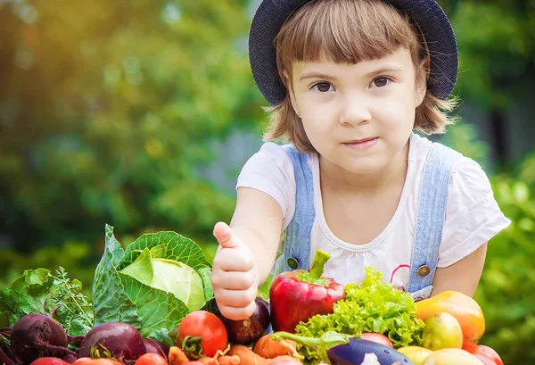 Anak dan sayuran. Fokus selektif . — Stok Foto