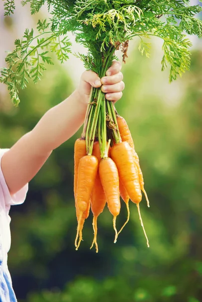 Çocuk ve havuç. Seçici odak. 