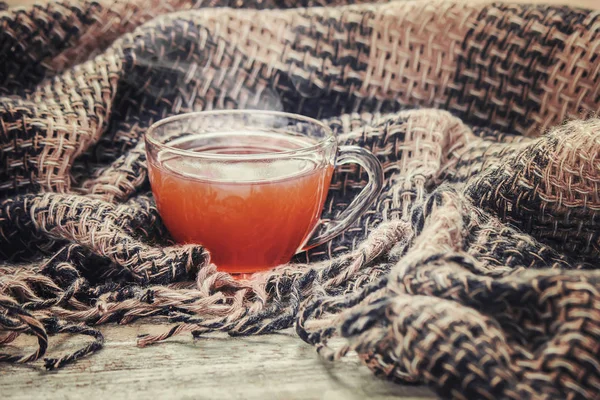 Bir fincan çay. Konfor. Seçici odak. 