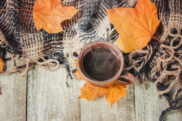 Bir fincan çay. Konfor. Seçici odak. 