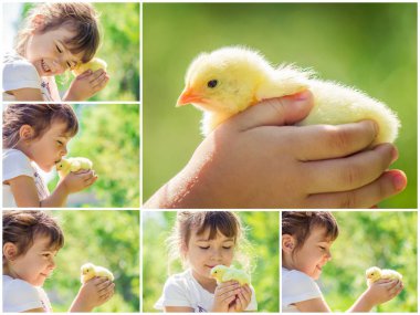 Çocuk bir tavuk elinde tutar. Kız ve kuş. Kolaj. Seçici odak. 